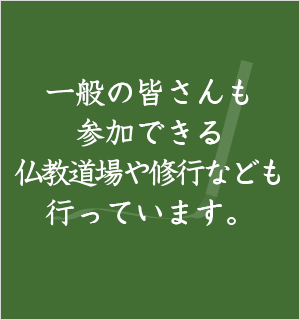 一般の皆さんも参加できる仏教道場や修行なども行っています