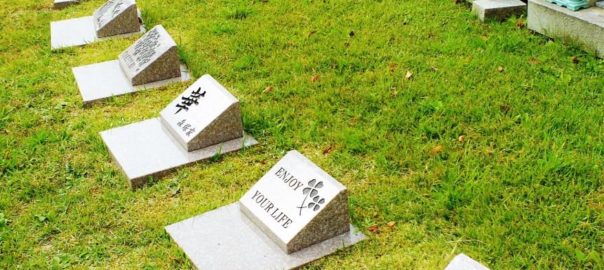 ペット墓 アーカイブ 熊本 大分の樹木葬